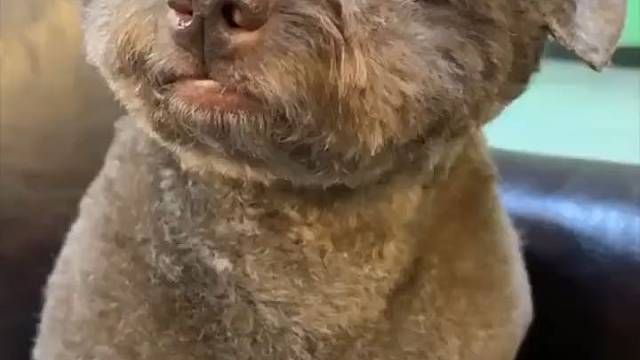 她只有六岁她能撒谎么？