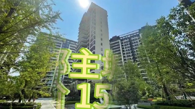 价格香，位置香，总价155万买成都主城
