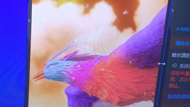 昨天做梦我也出了