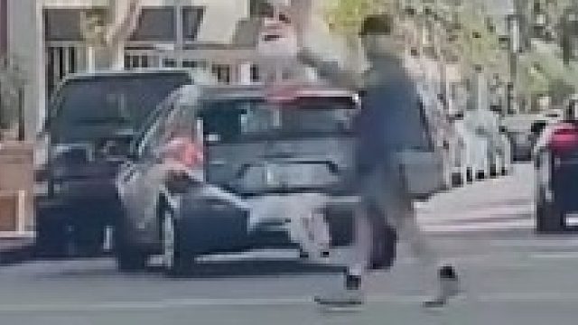 这就是遛鹅的正确方式吧！