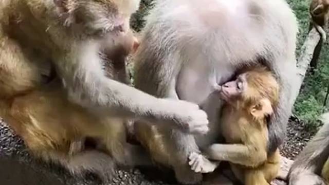 还好我进化的快，不然坐在那里的就是我啦