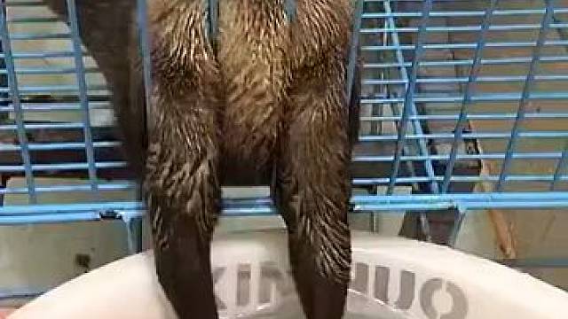 抓不到你说气不气