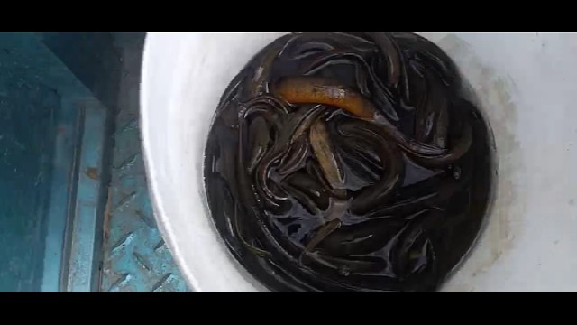 我发布了一个新视频，快来围观吧！