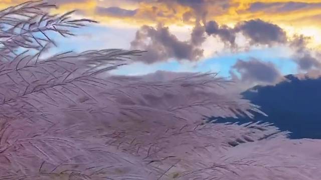 走路靠自己，成长靠经历，愿你骨子里有倔强，信念里有坚强，灵魂上有高度，你本一无所有。何不放手一博。