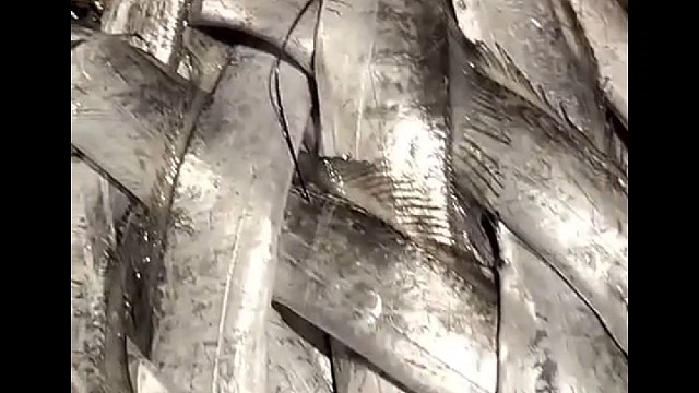 我发布了一个新视频，快来围观吧！