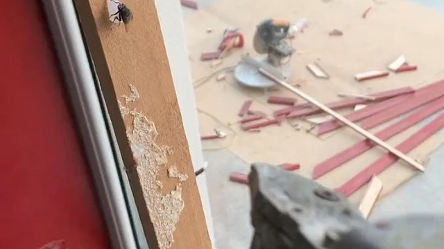 正愁没没地方发泄呢