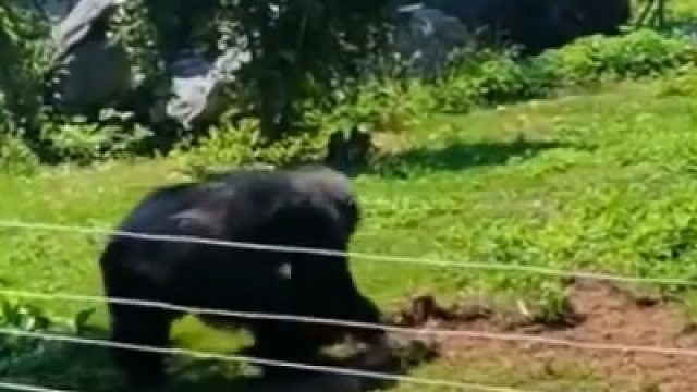 饲养员:我当初就不该选这门职业