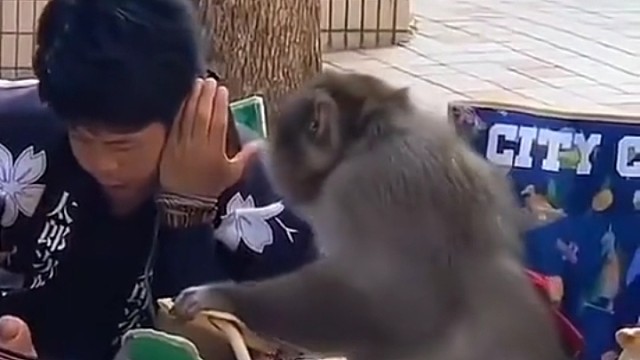 他们的对话道出了行业的秘密