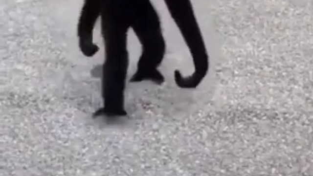 说实话第一眼真的看成毒液cosplay