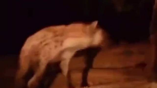 直接丧失配偶权