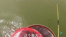 我帅大个钓鱼就两个字，飞它！ (20)
