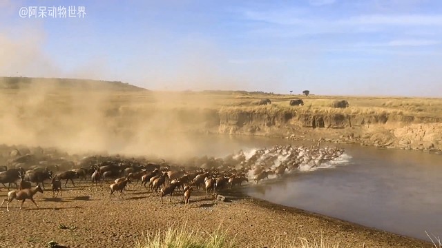 太震撼了，好想给他们建座桥