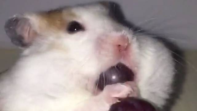 这分明是一个小仓库啊