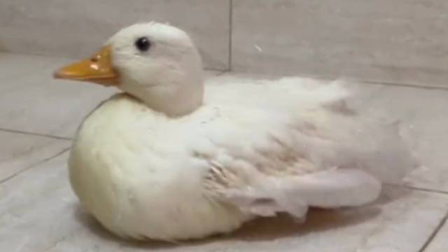 感谢大自然的馈赠