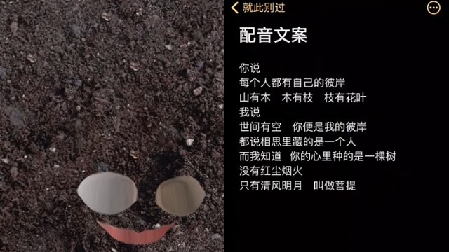 来自der逼的配音