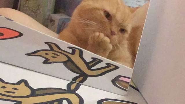 吃大帝呢还是吃团本呢