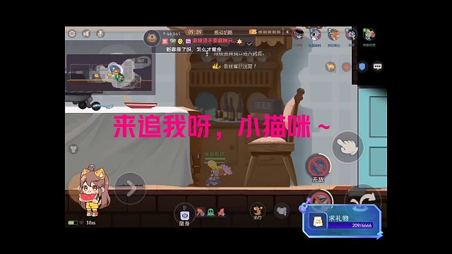 被猫追的时候最快乐了