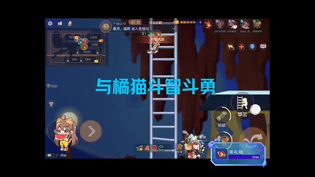 来追我呀，小猫咪