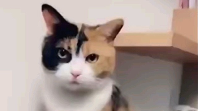 有什么心事吗，在那边发呆