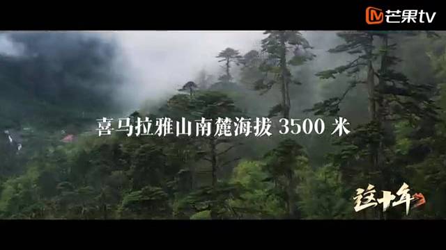《这十年》微纪录片第45集《格桑花开玉麦乡》卓嘎、央宗
