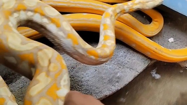 消化完了活动一下