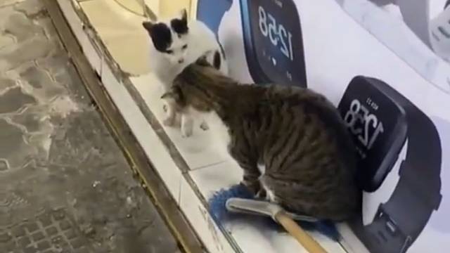 你别搞我啊，我是真的搞不过