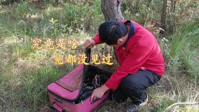 深山发现一只遗弃箱子，小伙打开一看直呼发财了，到底是啥