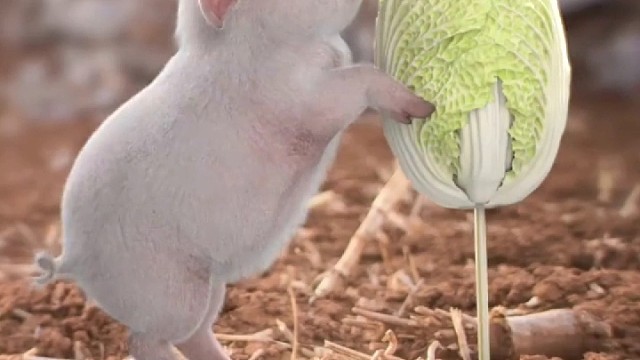 每天给自己一个微笑~