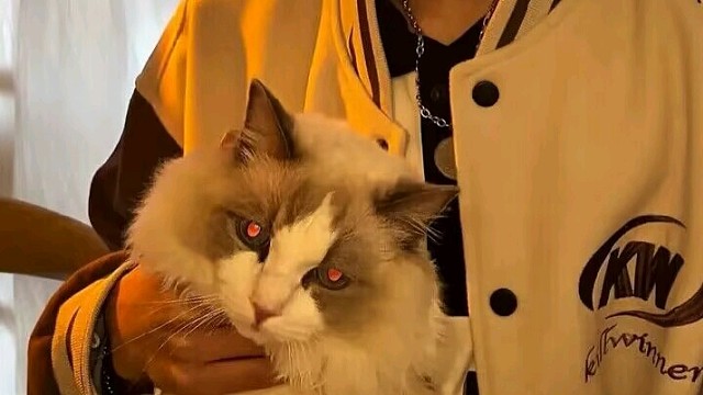 英雄强度是硬伤