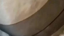 没有人能拒绝黑丝！