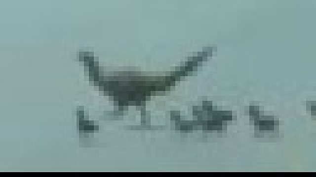 野鸡妈妈看懂了司机的意思