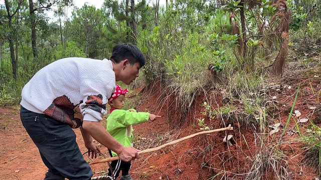 带2岁孩子去深山捡野生菌，宝宝大叫爸爸，到底发生了啥？