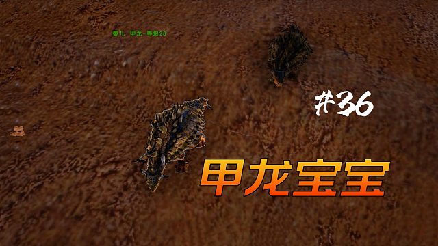 方舟焦土36：孵出好多只小霸王龙，小甲龙怎么和王八似的