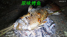 阿平赶海抓到一条两斤重的腊鱼，上岸后烧起了原味烤鱼吃