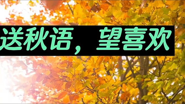 帅哥哥，美姐姐，能不能花三十秒钟听完吖，嘻嘻