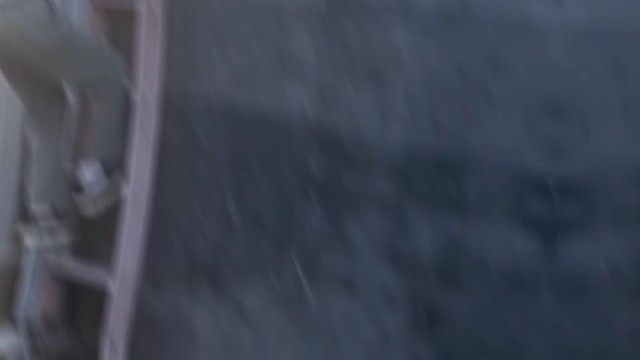 家乡的猫咪很惬意也很暖人。