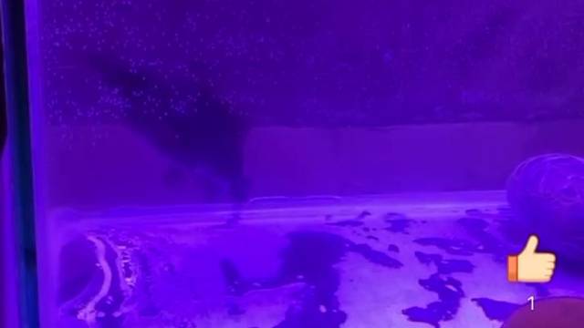 我想知道她在干嘛？