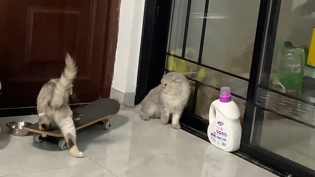 滑板溜过去打架