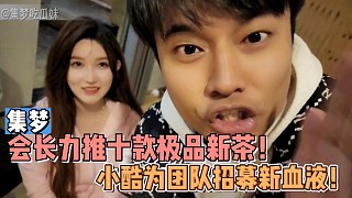 【集夢(mèng)】會(huì)長(zhǎng)力推十款極品新茶！小酷為團(tuán)隊(duì)招募新血液！
