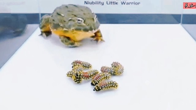 这还吃出来快感了？？