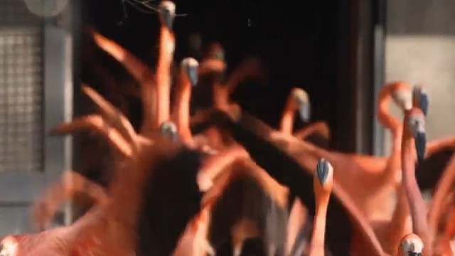 这腿简直了又细又长