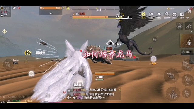 妄想山海:如何培养龙马