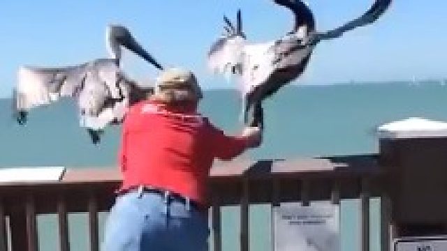 给真相一些时间