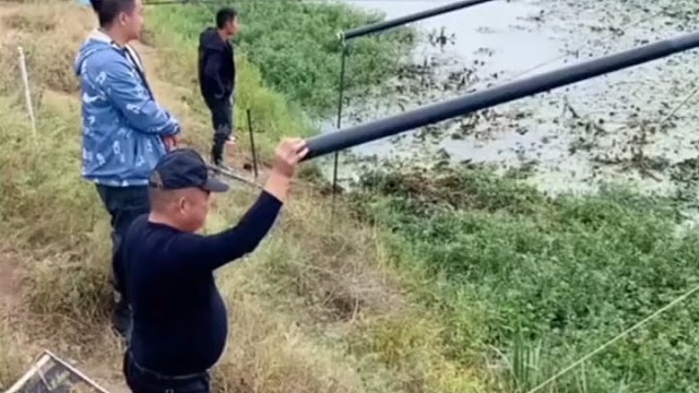 不懂就问，这是什么运动