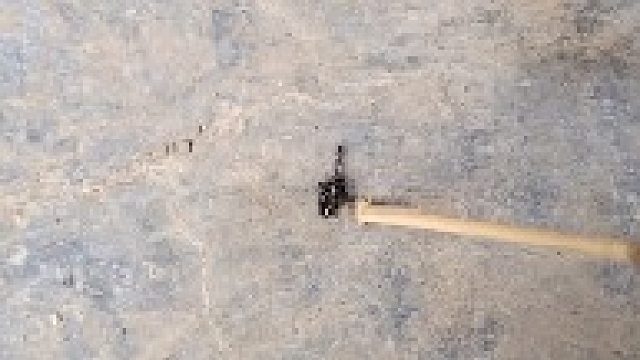 快回去报信吧，你一个人是拖不动的