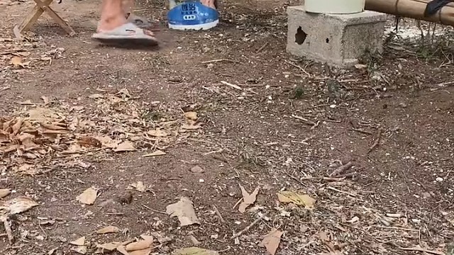 嘴巴以下全是胃