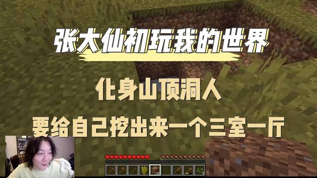 张大仙初玩我的世界，化身山顶洞人，誓要挖出个三室一厅