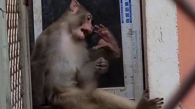 狠起来连自己都不放过