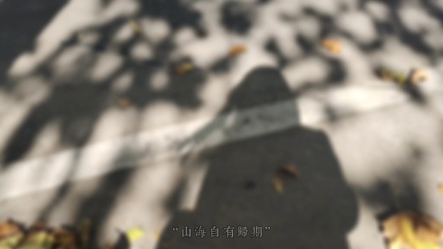 朗朗乾坤，都是梦想