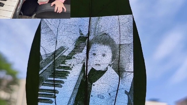 生活中缺少的不是美，而是缺少用心去感受！#树叶雕#树叶画